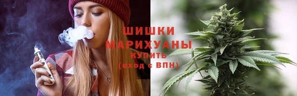 PSILOCYBIN Верхний Тагил