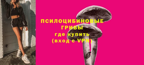 PSILOCYBIN Верхний Тагил